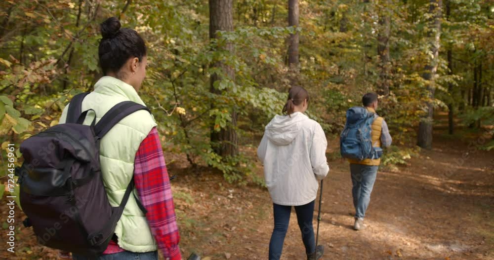 Group of friends hiking together in autumn forest Group of friends hiking together in autumn forest