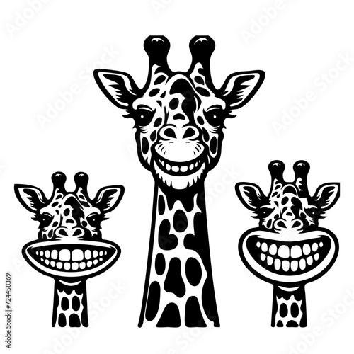 Black and white giraffe head on white background. Vector illustration, SVG files