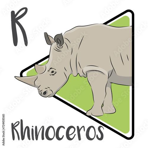 Rhinoceroses are characterized by the possession of one or two horns on the upper surface of the snout. Adult rhinoceroses have no real predators in the wild. Rhino horns are made of keratin.