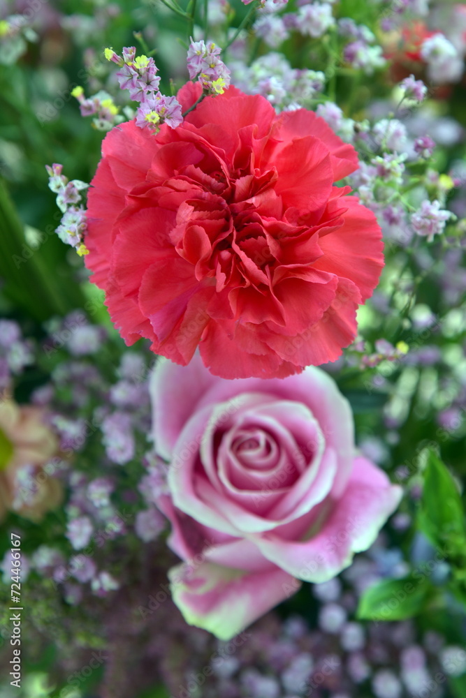 Bouguet, rose and carnation. Flowers background. Pink and red flowers in bunch. Bouguet, rose and carnation. Flowers background. Pink and red flowers in bunch.