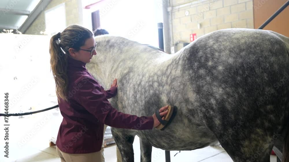 Side view of a woman and man brushing a horse in stable