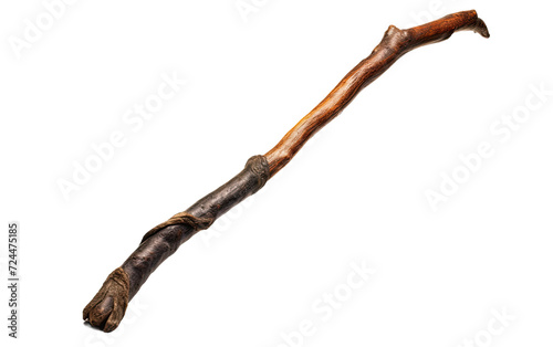 Classic Wooden Walking Stick on Transparent Background