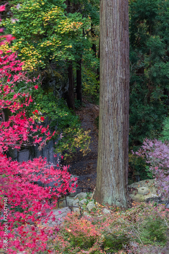 日本 山形県山形市にある立石寺、通称山寺の紅葉した木々