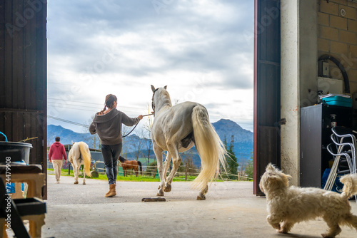 People walking with horses on a ranch
