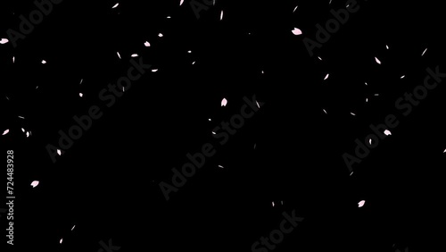 桜吹雪のアニメーション　ループ　背景透明　アルファ付き　パーティクル (ID: 724483928)