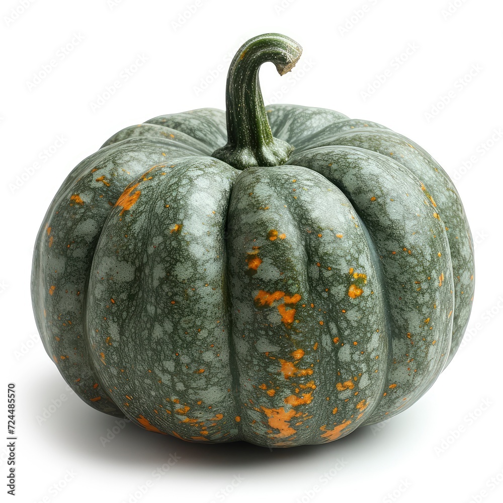Green Pumpkin On White Background, Illustrations Images Green Pumpkin On White Background, Illustrations Images
