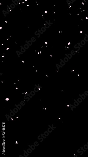 桜吹雪のアニメーション　ループ　背景透明　アルファ付き　パーティクル (ID: 724485731)