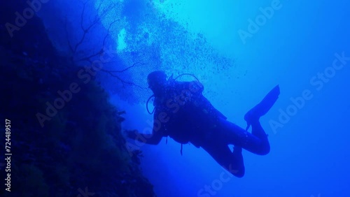 Indian Ocean, Maldives - September 25, 2019: Coral underwater background dark blue water in Maldives with diver. Because of their unique qualities, corals have been studied for thousands of years.