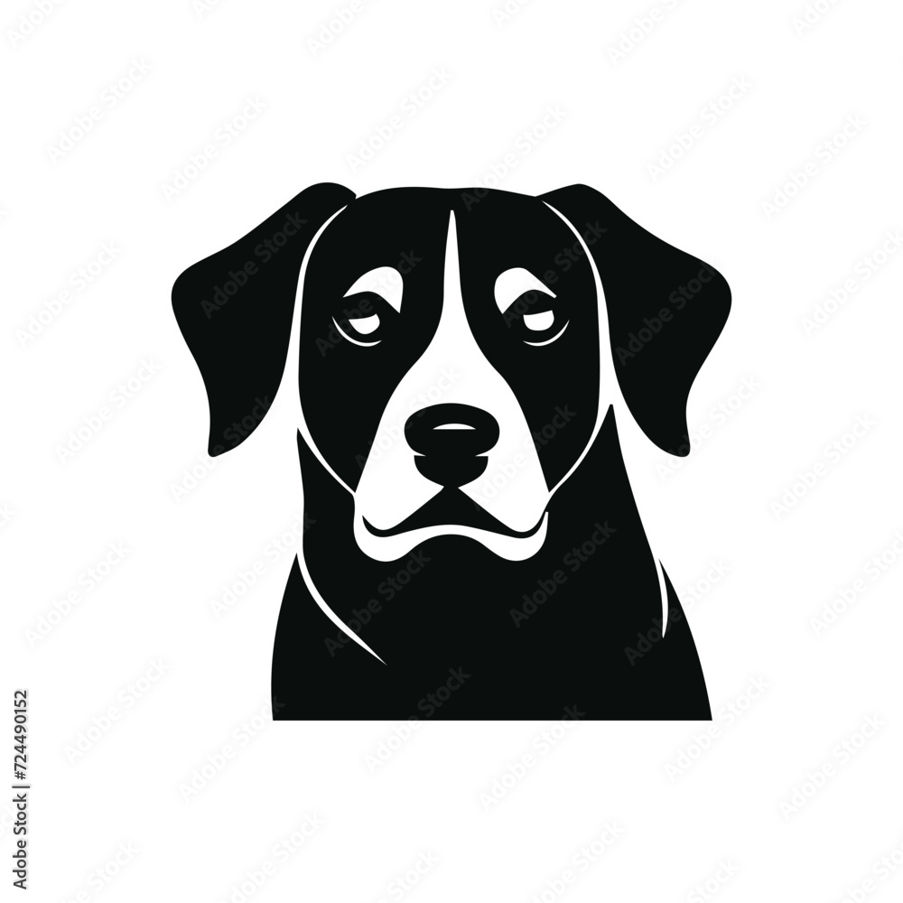 black labrador retriever dog on white background 