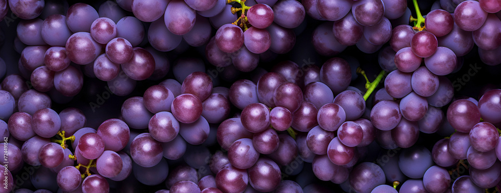 Background of purple grapes. Top view. Banner.
