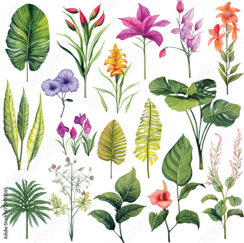 Realistic tropical botanical foliage plants. Set of tropical leaves and flowers Hand painted watercolor illustration isolated on white.