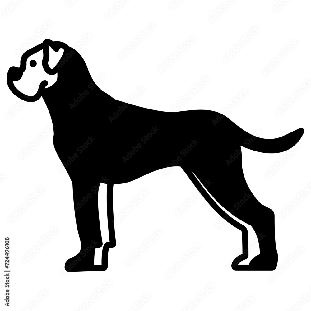 Boxer short glyph and line vector illustration