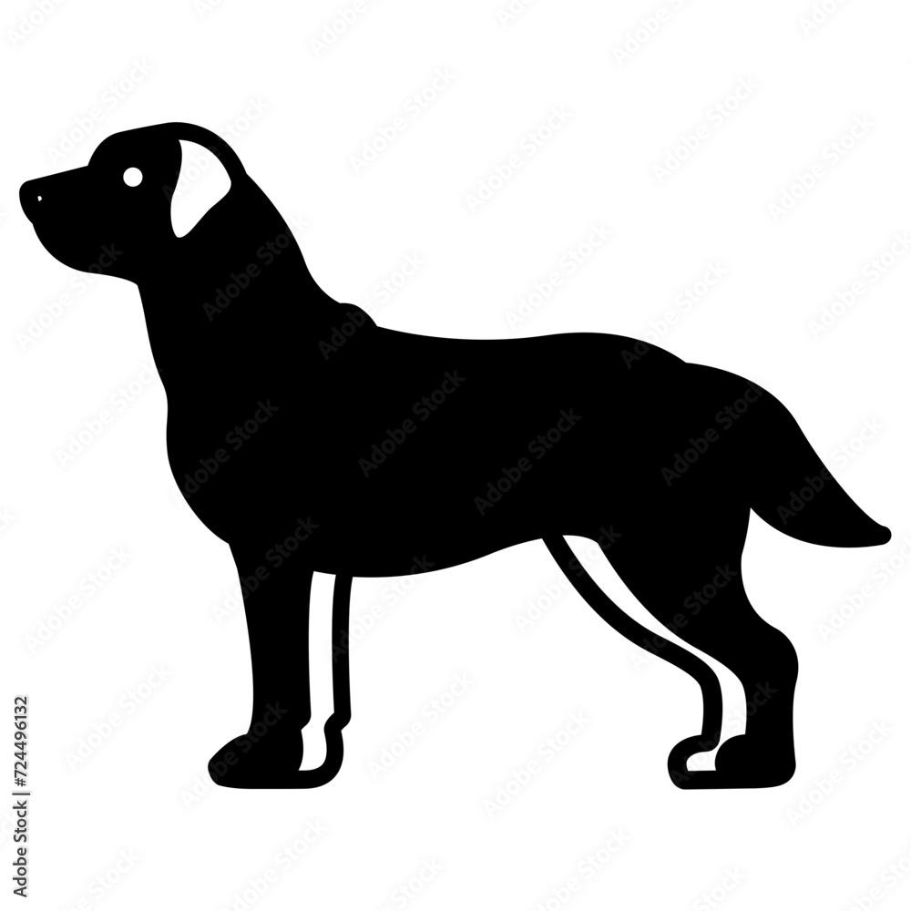 Labrador Retriever dog glyph and line vector illustration