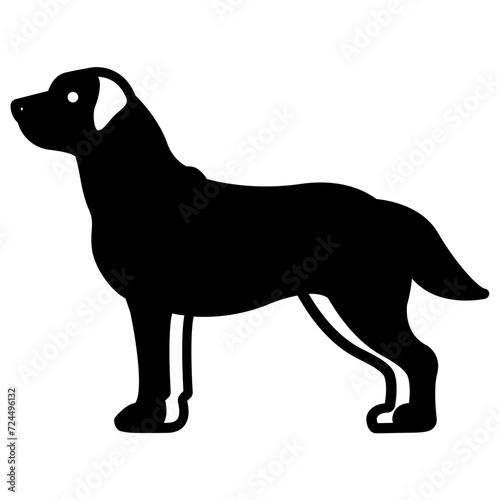 Labrador Retriever dog glyph and line vector illustration