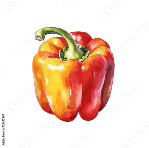 Watercolor illustration of a red bell pepper on a white background. photo