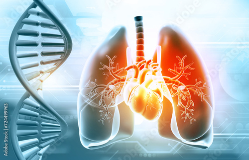 Human respratory system with DNA strand. 3d illustration. photo