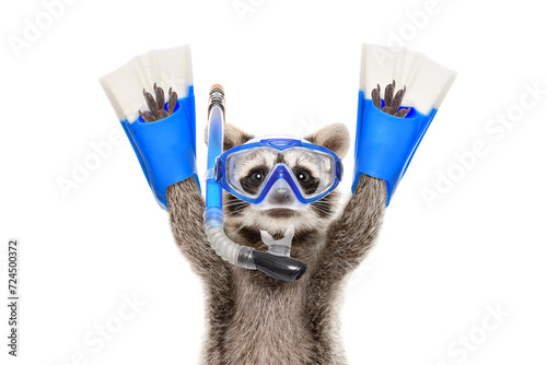 Portrait of a funny raccoon in a diving mask and flippers isolated on a white background photo