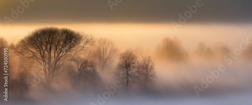 Elegant  Foggy Morning  Enchanting Scene as Sunlight Breaks Through Misty Atmosphere.