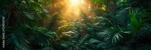 Beautiful photo of a tropical forest for a background