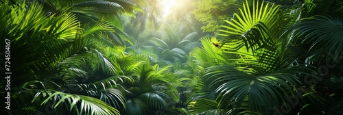 Beautiful photo of a tropical forest for a background