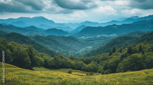 Beautiful photo of mountains for background © olegganko
