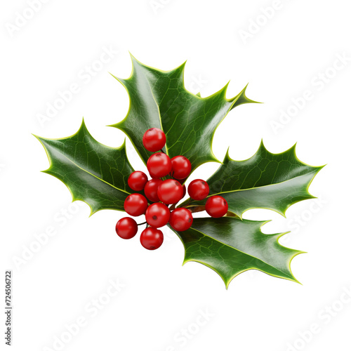 Holly flower isolated on transparent background