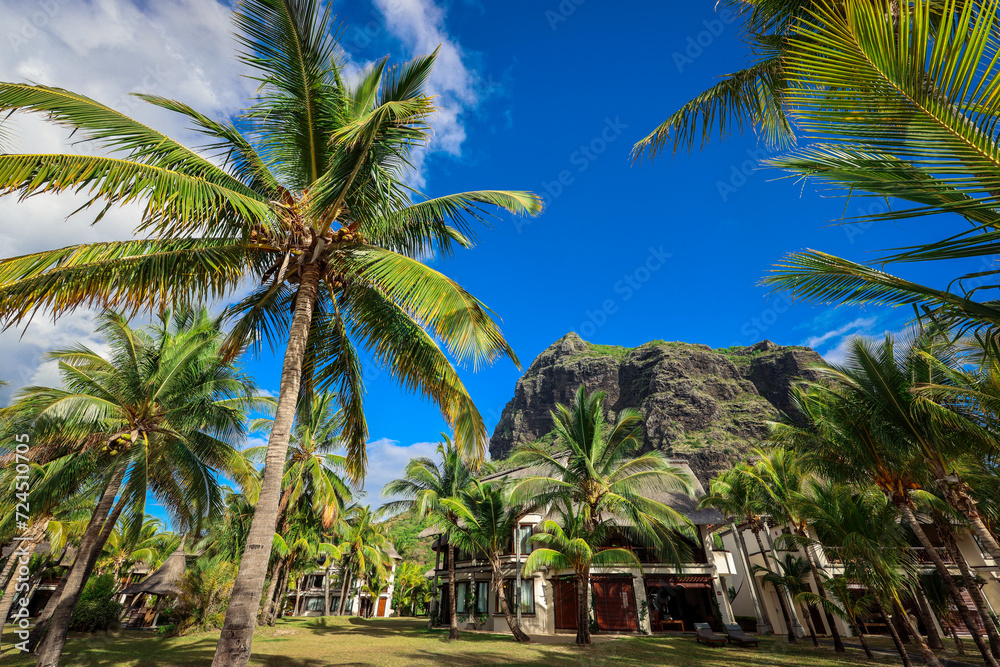 Obraz premium Palm Trees and Mountain at Mauritius Resort