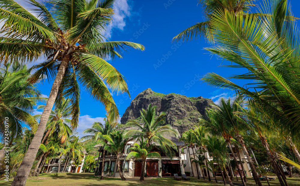 Tropical Resort With Palm Trees & Mountain in Background
