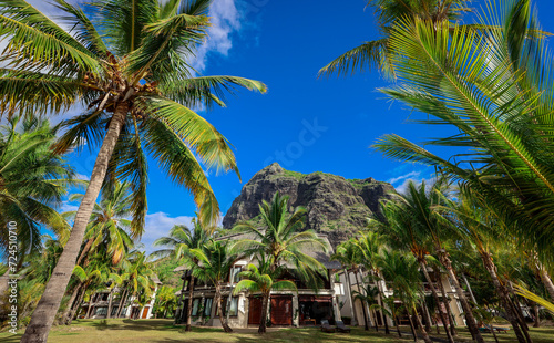 Tropical Resort With Palm Trees & Mountain in Background