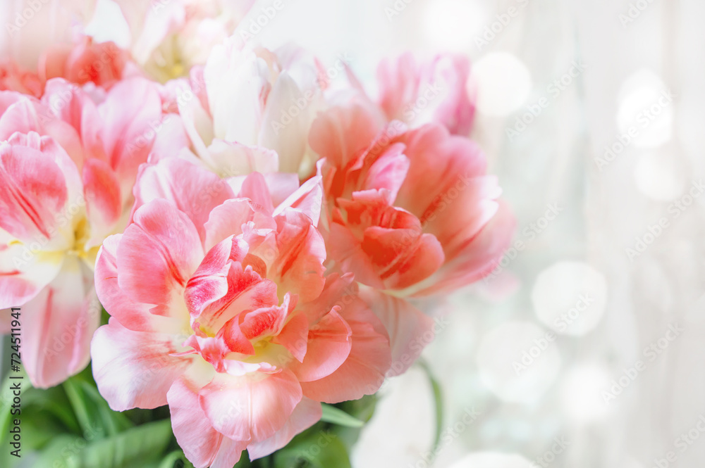 Pink tulips on a light background. Spring tulip flowers close up. Card for Easter, Mother's Day or Valentine's Day