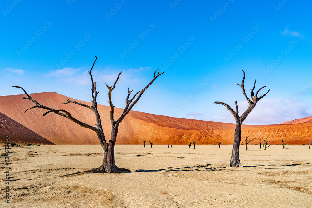 Dead Camelthorn Trees against red dunes and blue sky in Deadvlei, Sossusvlei. Namib-Naukluft National Park, Namibia, Africa Dead Camelthorn Trees against red dunes and blue sky in Deadvlei, Sossusvlei. Namib-Naukluft National Park, Namibia, Africa