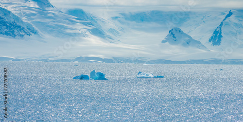 Melting icebergs and ice floats along the sunny shores of Paradise Bay  Gerlach Straight  Antarctica