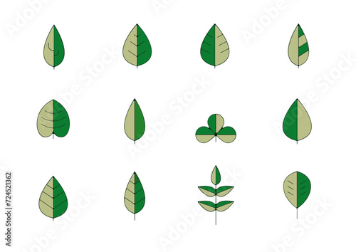 Planche icone feuille et feuillage nature arbre et plante couleur printemps ete vert et gris
