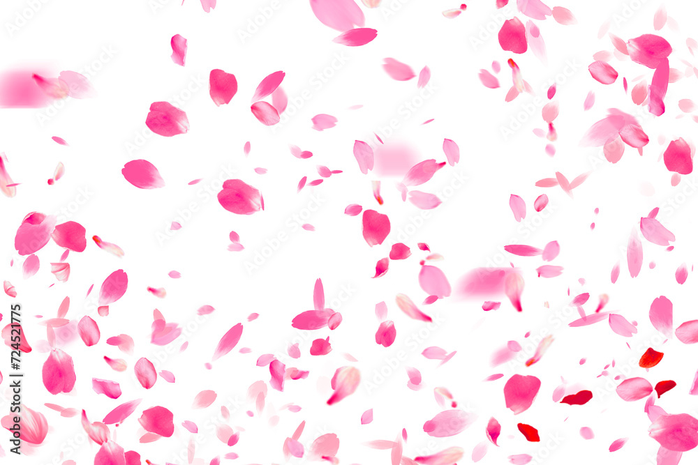 Sakura patern transparent Sakura patern transparent