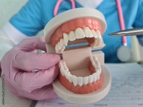 Dentist explaining dental procedure to patient with model of human teeth and pen in hand