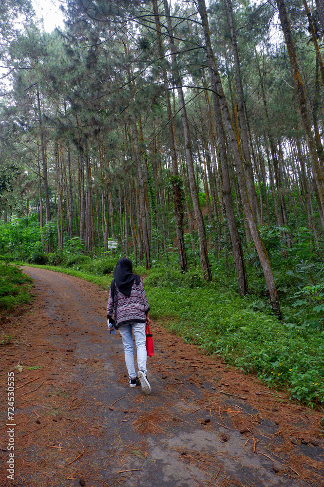 An Asian woman wearing a hijab in a pine forest in Indonesia