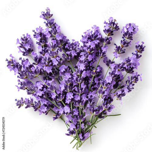 Lavender flowers forming a heart shape isolaed on white