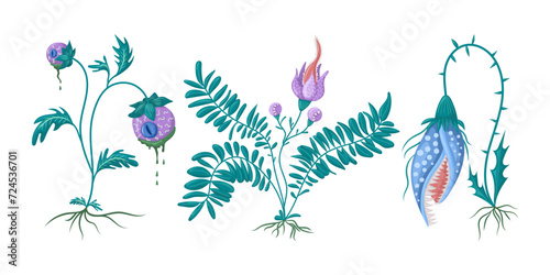 set Fantasy botanical illustration. Isolated vector illustration. For halloween, for games, for design © plaksik13
