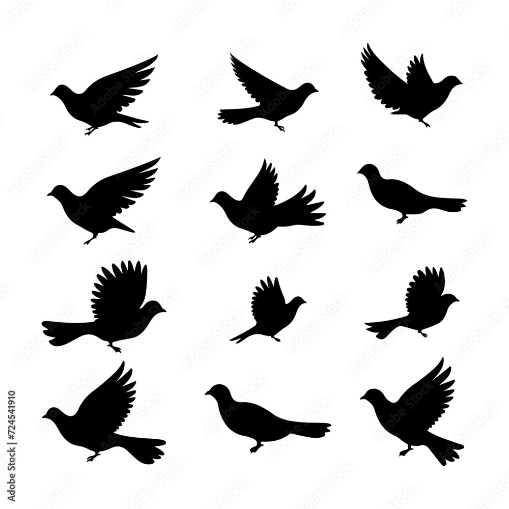 Obraz premium Dove black silhouette. Cute dove bird hand drawing art and vector illustration