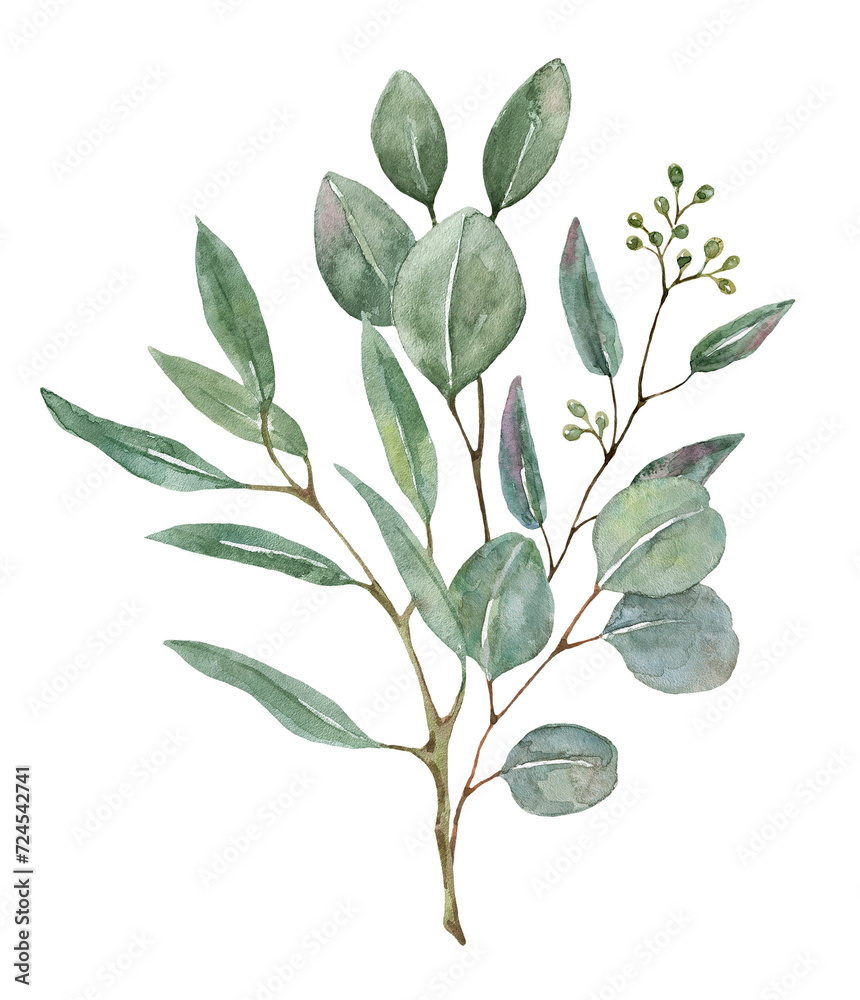 Fototapeta premium Watercolor eucalyptus arrangement illustration. Hand-painted branches of sage green eucalyptus, isolated. Beautiful floral greenery bouquet. Botanical painting. PNG clipart.