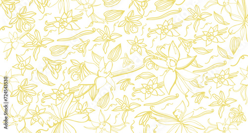 Isolated vector set of vanilla. Pattern. Vanilla sticks, vanilla flower and pods. Aroma, food. Hand drawn. Vector hand drawn illustration of orchid Flower and pods on isolated white background.