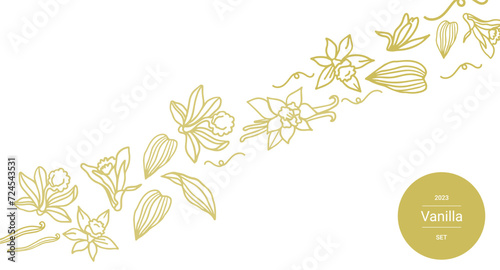 Isolated vector set of vanilla. Pattern. Vanilla sticks, vanilla flower and pods. Aroma, food. Hand drawn. Vector hand drawn illustration of orchid Flower and pods on isolated white background.