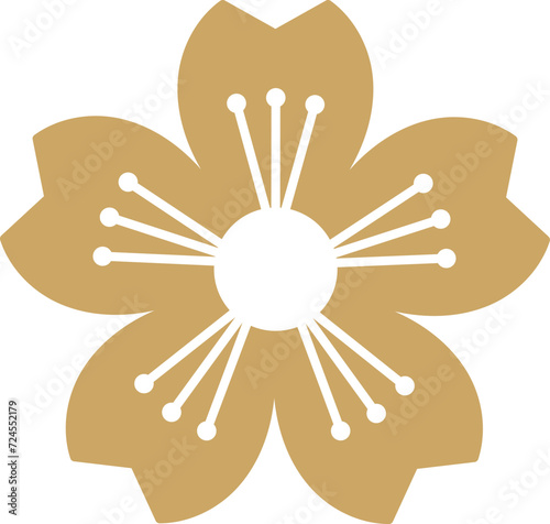 Golden cherry blossom flower illustration