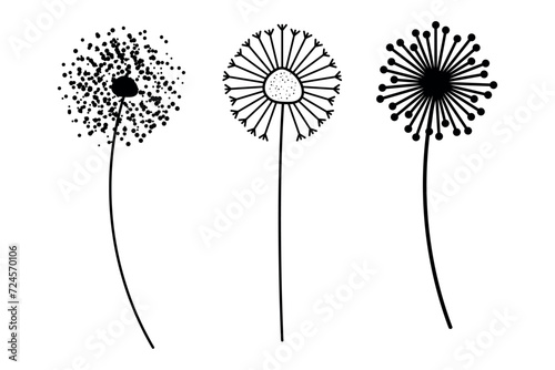Three different dandelions set