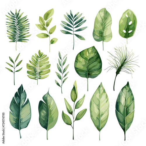 Illustration of tropical leaves and plants isolated on a white background.