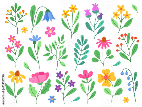 Collection of simple cute flowers, plants, branches and berries. Flowers and leaves of different shapes. Spring flowers. Design elements.