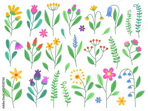 Spring cartoon flowers. Collection of simple cute flowers, plants, branches and berries. Flowers and leaves of different shapes. Design elements.
