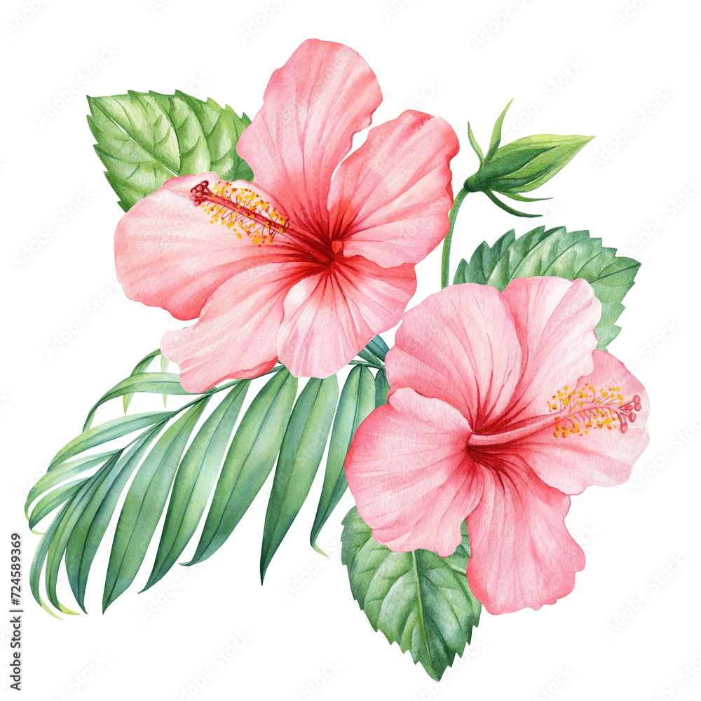 Tropical flowers Hibiscus and palm leaves isolated background, floral watercolor illustration, Pink flora composition Tropical flowers Hibiscus and palm leaves isolated background, floral watercolor illustration, Pink flora composition