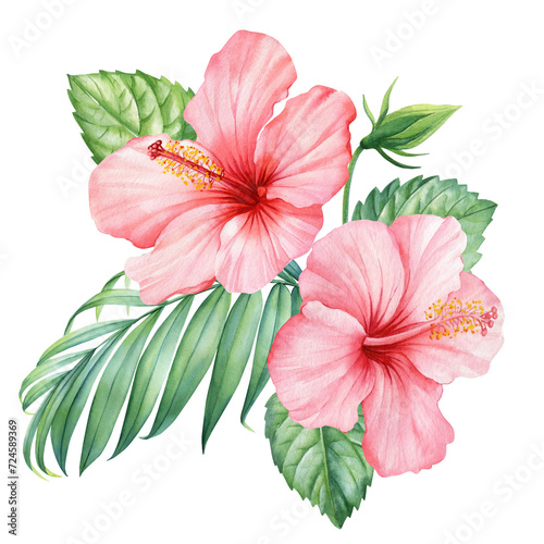Tropical flowers Hibiscus and palm leaves isolated background  floral watercolor illustration  Pink flora composition