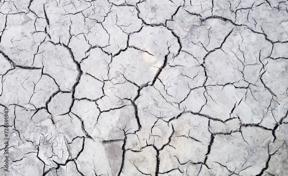 Closeup of crack on dry ground background. Ecological disaster global drought concept Closeup of crack on dry ground background. Ecological disaster global drought concept